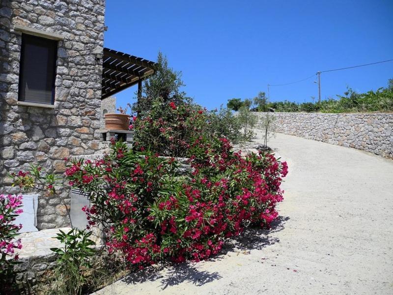 Aoritis Villas Lampini Habitación foto